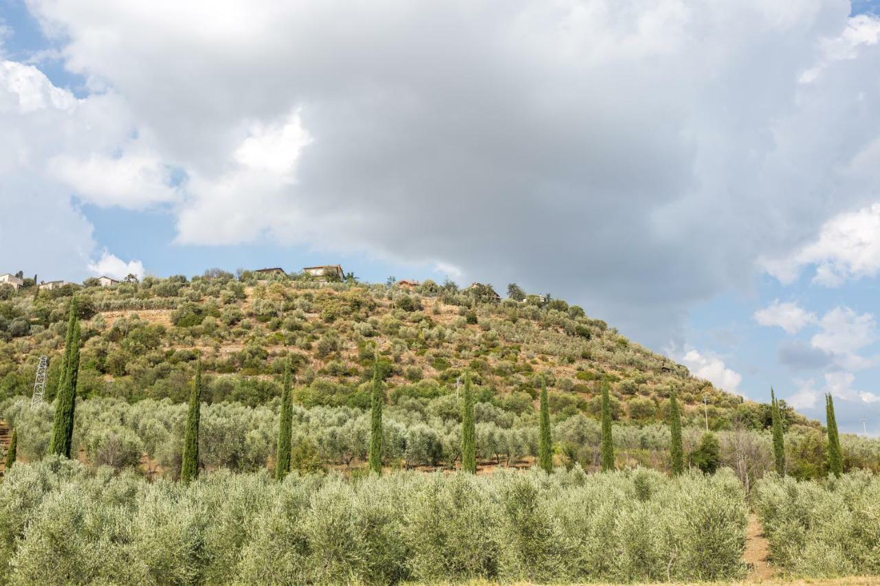 Little Val D'Orcia Apartamento Montenero d'Orcia Exterior foto